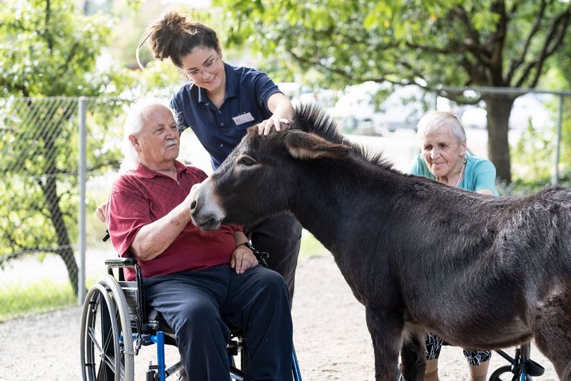 Dipl. Pflegefachperson HF mit RAI-Verantwortung